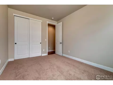 876 Shade Tree Dr, Windsor, CO 80550 photo 10
