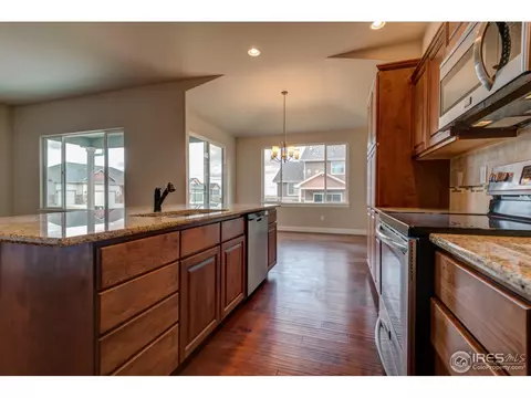 876 Shade Tree Dr, Windsor, CO 80550 photo 20