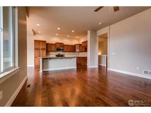 876 Shade Tree Dr, Windsor, CO 80550 photo 31