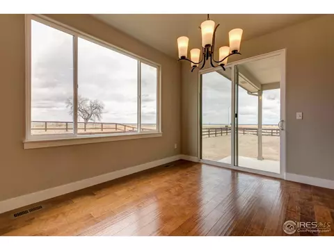 876 Shade Tree Dr, Windsor, CO 80550 photo 13