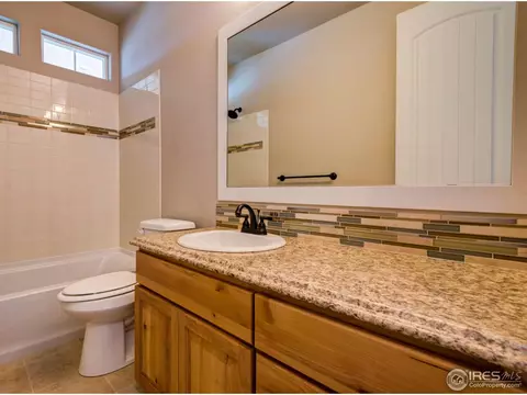 876 Shade Tree Dr, Windsor, CO 80550 photo 8