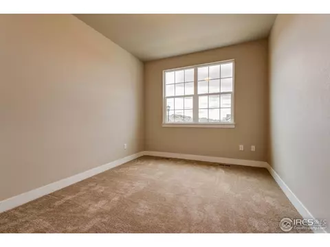 876 Shade Tree Dr, Windsor, CO 80550 photo 3