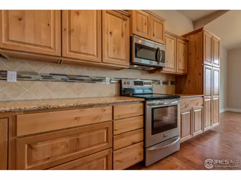 876 Shade Tree Dr, Windsor, CO 80550 photo 24