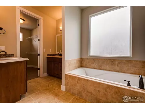 876 Shade Tree Dr, Windsor, CO 80550 photo 37