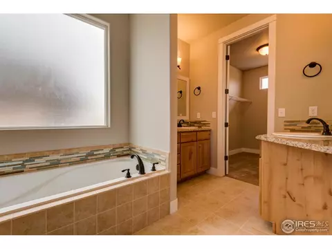 876 Shade Tree Dr, Windsor, CO 80550 photo 38