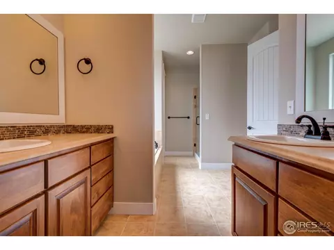 876 Shade Tree Dr, Windsor, CO 80550 photo 35