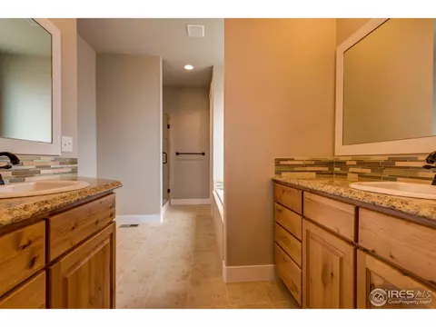 876 Shade Tree Dr, Windsor, CO 80550 photo 36