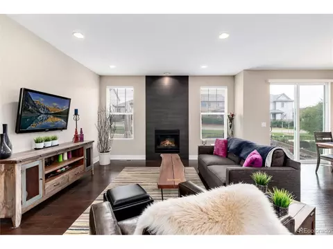 14150 Kenneth Loop, Parker, CO 80134 photo 13