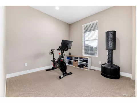 14150 Kenneth Loop, Parker, CO 80134 photo 28