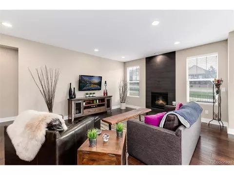 14150 Kenneth Loop, Parker, CO 80134 photo 11