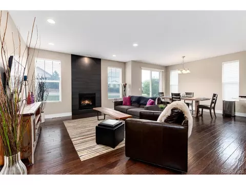 14150 Kenneth Loop, Parker, CO 80134 photo 12