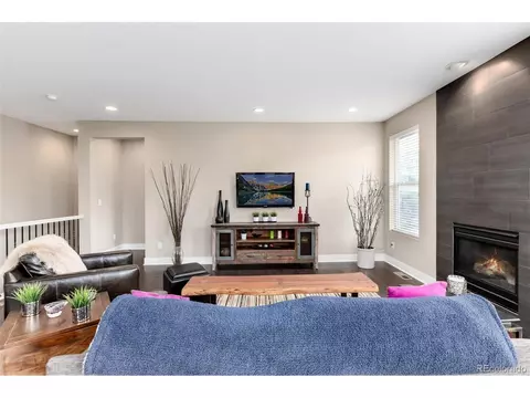 14150 Kenneth Loop, Parker, CO 80134 photo 10
