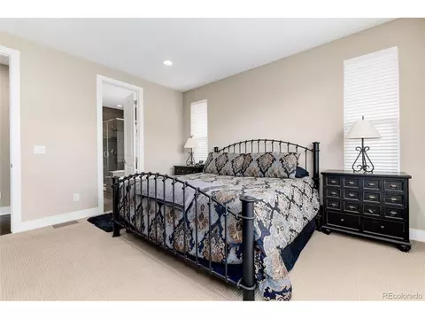 14150 Kenneth Loop, Parker, CO 80134 photo 25