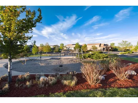 14150 Kenneth Loop, Parker, CO 80134 photo 49