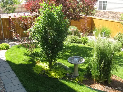 24257 E Powers Ave, Aurora, CO 80016 photo 30
