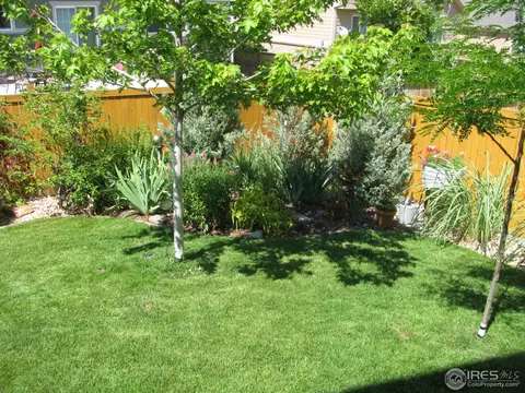 24257 E Powers Ave, Aurora, CO 80016 photo 32