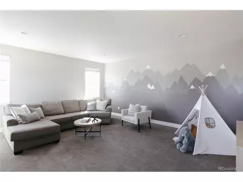 9058 E 53rd Ave, Denver, CO 80238 photo 29