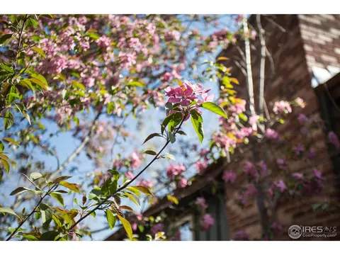 1455 Judson Dr, Boulder, CO 80305 photo 20