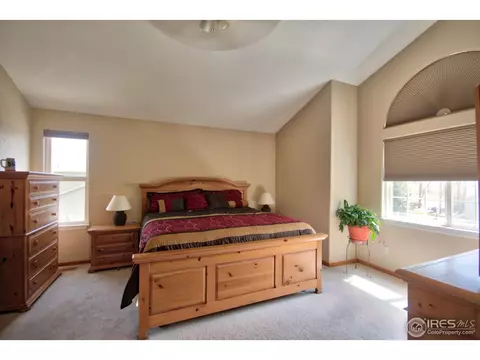 231 Eagle Ave, Mead, CO 80542 photo 10