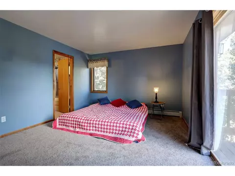 78 Columbine Rd, Bailey, CO 80421 photo 19