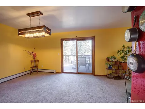 78 Columbine Rd, Bailey, CO 80421 photo 14