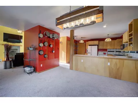 78 Columbine Rd, Bailey, CO 80421 photo 9