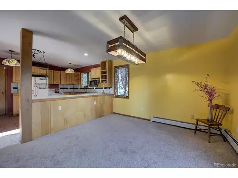 78 Columbine Rd, Bailey, CO 80421 photo 7