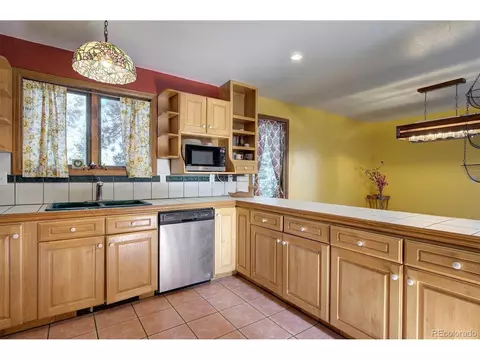 78 Columbine Rd, Bailey, CO 80421 photo 11