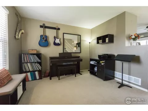 2765 E 118th Ct, Thornton, CO 80233 photo 8