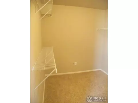 2146 Grain Bin Dr, Windsor, CO 80550 photo 16