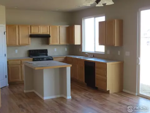 2146 Grain Bin Dr, Windsor, CO 80550 photo 4