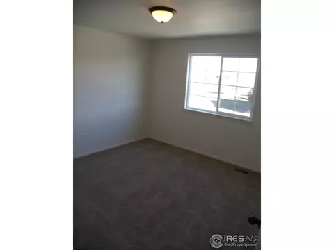 2146 Grain Bin Dr, Windsor, CO 80550 photo 19