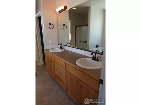 865 Shade Tree Dr, Windsor, CO 80550 photo 13