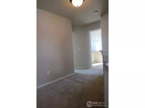865 Shade Tree Dr, Windsor, CO 80550 photo 17
