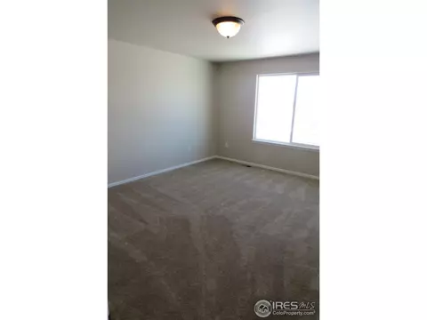 865 Shade Tree Dr, Windsor, CO 80550 photo 18