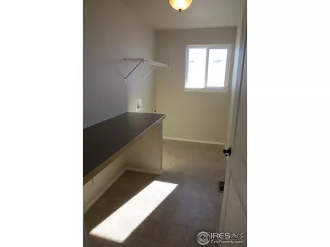865 Shade Tree Dr, Windsor, CO 80550 photo 20