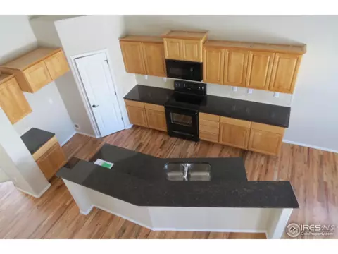865 Shade Tree Dr, Windsor, CO 80550 photo 7