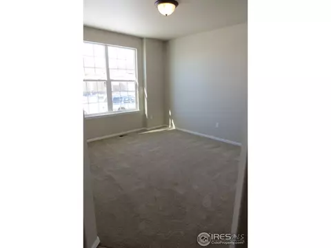 865 Shade Tree Dr, Windsor, CO 80550 photo 4