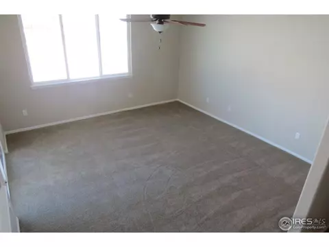 865 Shade Tree Dr, Windsor, CO 80550 photo 10