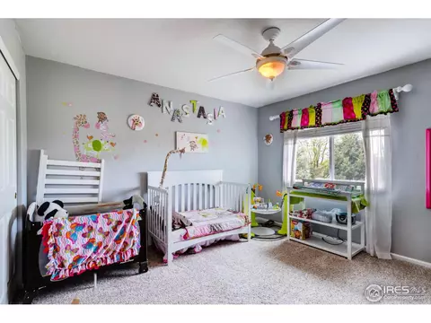 10153 Scenic Ct, Firestone, CO 80504 photo 19