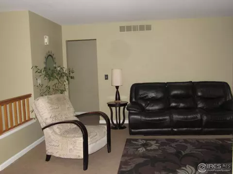 1404 E 96th Dr, Thornton, CO 80229 photo 10
