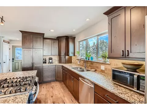 33676 La Plata Ln, Pine, CO 80470 photo 9