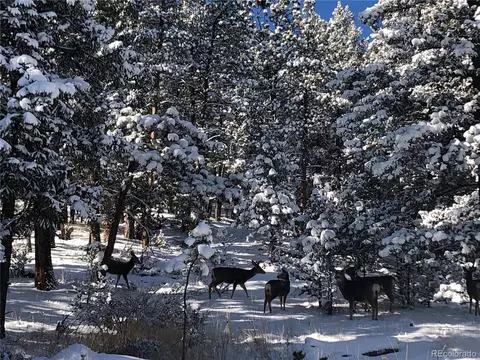 33676 La Plata Ln, Pine, CO 80470 photo 34