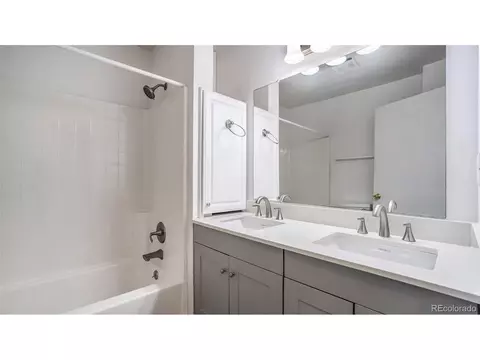 21 Locust St, Windsor, CO 80550 photo 10