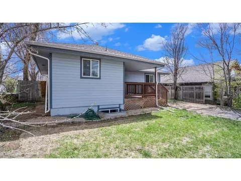 21 Locust St, Windsor, CO 80550 photo 5