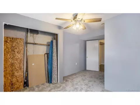 21 Locust St, Windsor, CO 80550 photo 19