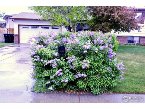 1643 34th Ave, Greeley, CO 80634 photo 3