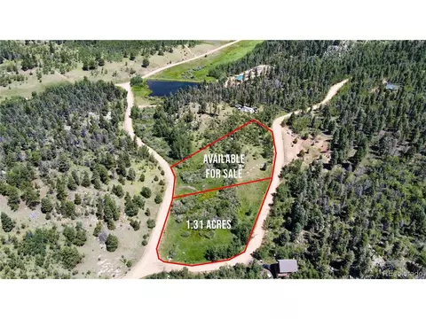 43 Eagle Rock Rd, Florissant, CO 80816