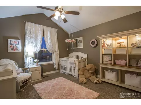 5213 Kempton Dr, Windsor, CO 80550 photo 23
