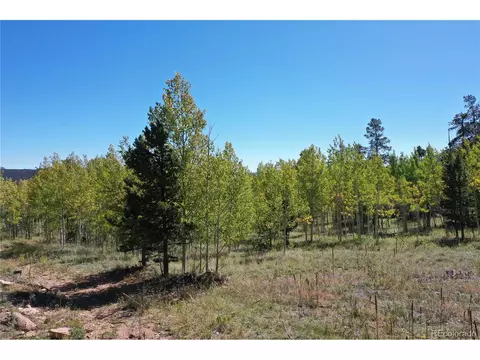 105 Road P62, Bailey, CO 80421 photo 6